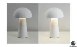 Akku-Tischleuchte, 1-flammig, weiß