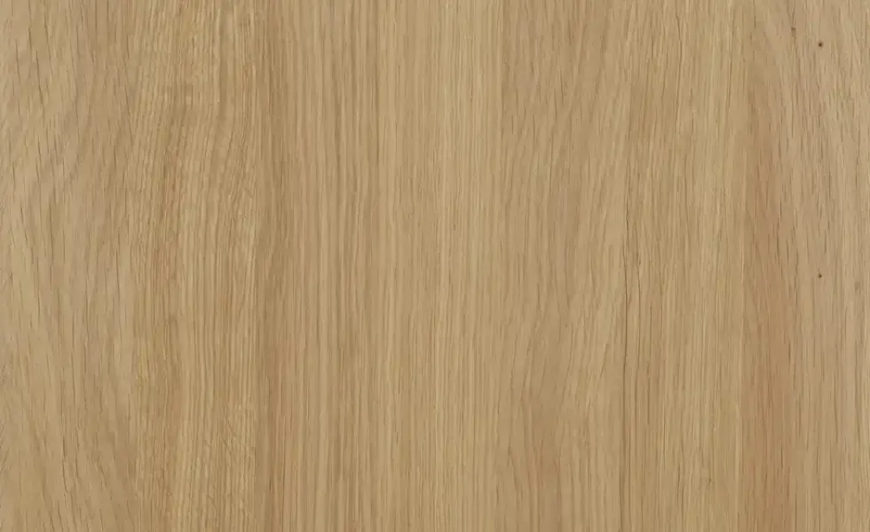 Aktenschrank mit Massivholzfront SOLIDLine