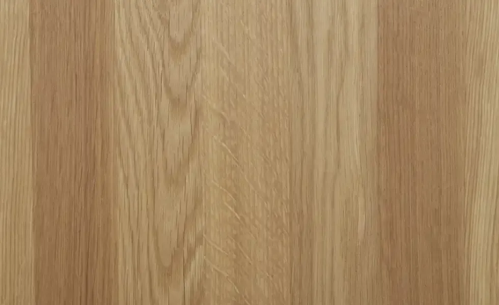 Aktenschrank mit Massivholzfront SOLIDLine