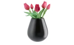 ASA SELECTION Vase Ease New