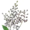 Beerenpick Zweig