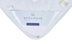 Billerbeck 4-Jahreszeiten-Steppbett Queen