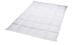 Billerbeck Kassettendecke Ariella
