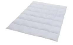 Billerbeck Kassettendecke Ramona