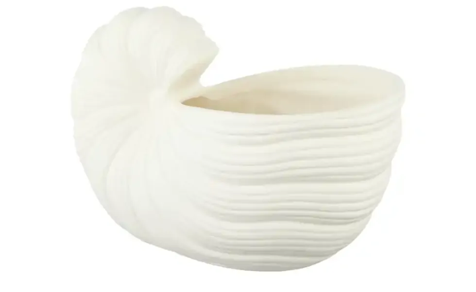 Blumentopf Muschel