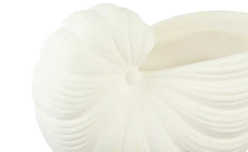 Blumentopf Muschel