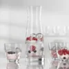 BOHEMIA Wasser-Saft-Set Libera