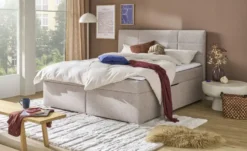 Boxbett Duke