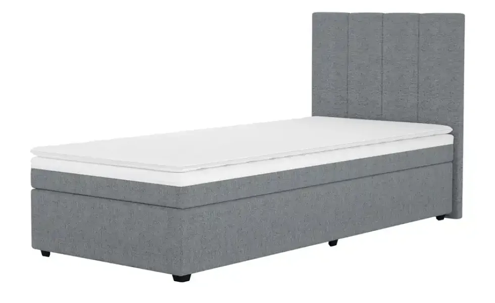Boxbett Duke