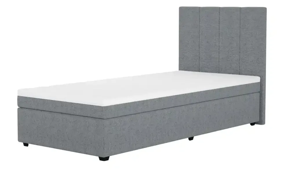 Boxbett Duke