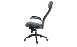 Chefsessel Blies neu