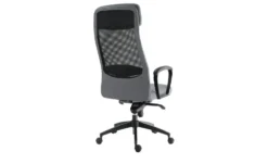 Chefsessel Blies neu