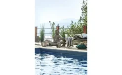 como Kissen Charly