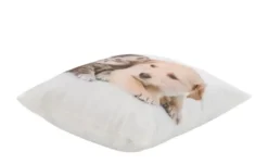 como Kissen Hund und Katze