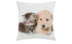 como Kissen Hund und Katze
