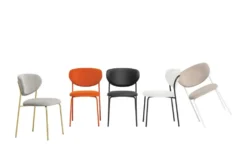 Connubia Polsterstuhl Cozy