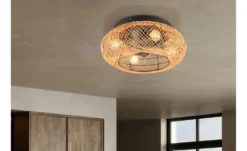 Deckenleuchte mit Ventilator