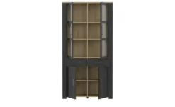 Doppelvitrine Toneo