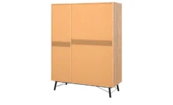 Drehtürenschrank Ripley