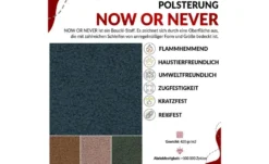 Ecksofa mit Schlaffunktion Dorain