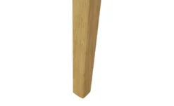 Esszimmerstuhl 1881