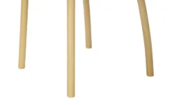 Esszimmerstuhl Fala