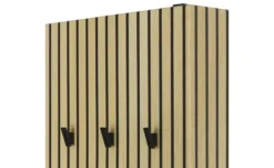 Express for you Schuh- und Mehrzweckschrank Pictura