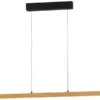 Fischer-Honsel Pendelleuchte