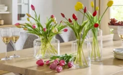 Französischer Tulpenbund