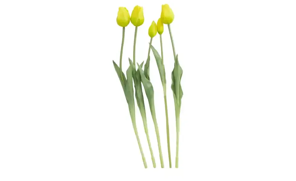 Französischer Tulpenbund