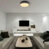 Globo Lighting Deckenleuchte