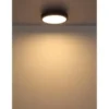 Globo Lighting Deckenleuchte