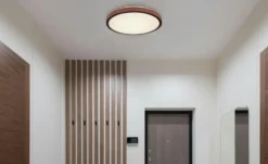 Globo Lighting Deckenleuchte