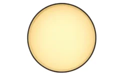 Globo Lighting Deckenleuchte