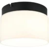 Globo Lighting Deckenleuchte