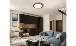 Globo Lighting Deckenleuchte