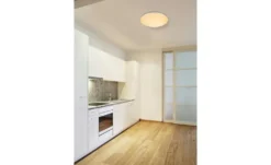 Globo Lighting Deckenleuchte