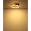 Globo Lighting Deckenleuchte