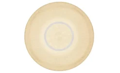 Globo Lighting Deckenleuchte