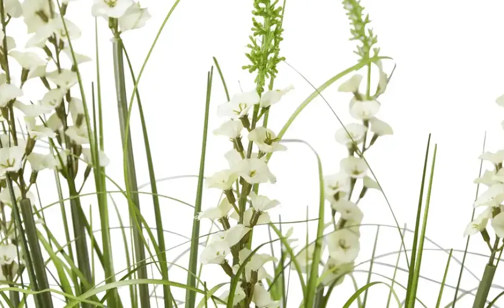 Glockenblume getopft