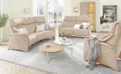 himolla Relaxsessel mit verschiedenen Funktionen 4217