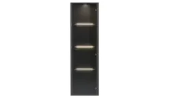 Hängevitrine Light Line 10