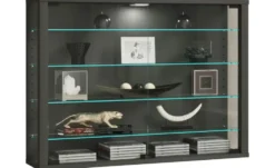 Hängevitrine Vitrosa