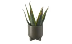 HOME STORY Übertopf