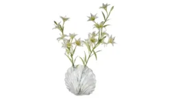HOME STORY Deko Vase Muschel