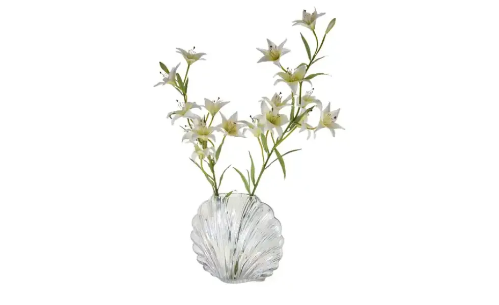 HOME STORY Deko Vase Muschel