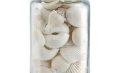 HOME STORY Muschelmix im Glas