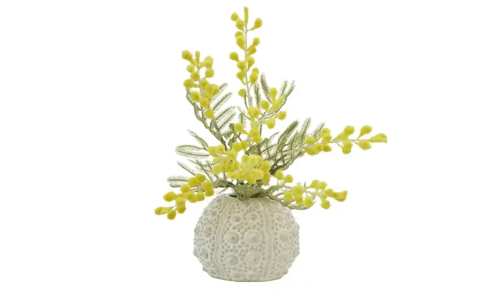 HOME STORY Vase Seeigel