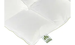 IRISETTE Daunendecke Medium Greenline Daunen