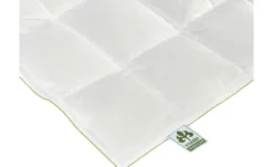 IRISETTE Daunendecke Ultra Leicht Greenline Daunen